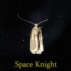 Space Knight