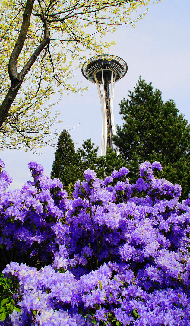 Space Needle Seattle