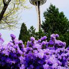 Space Needle Seattle