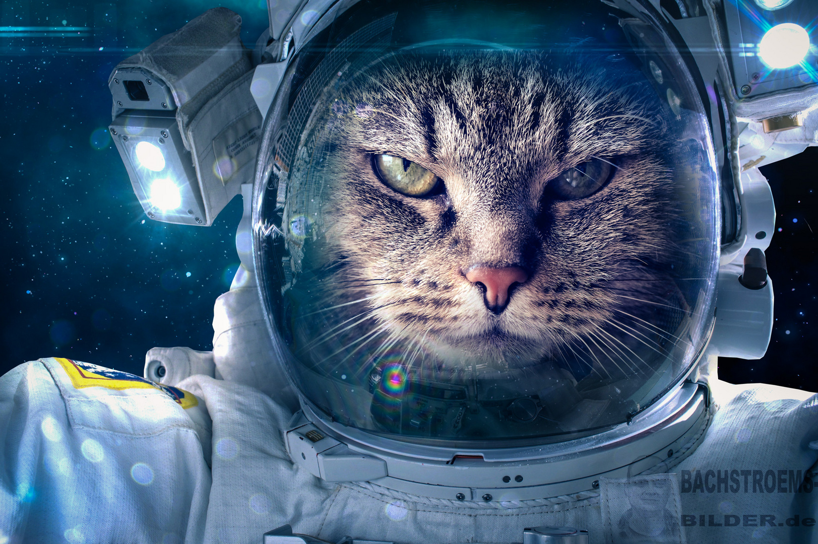 Spacecat-II