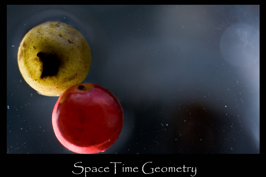 SpaceTime Geometry