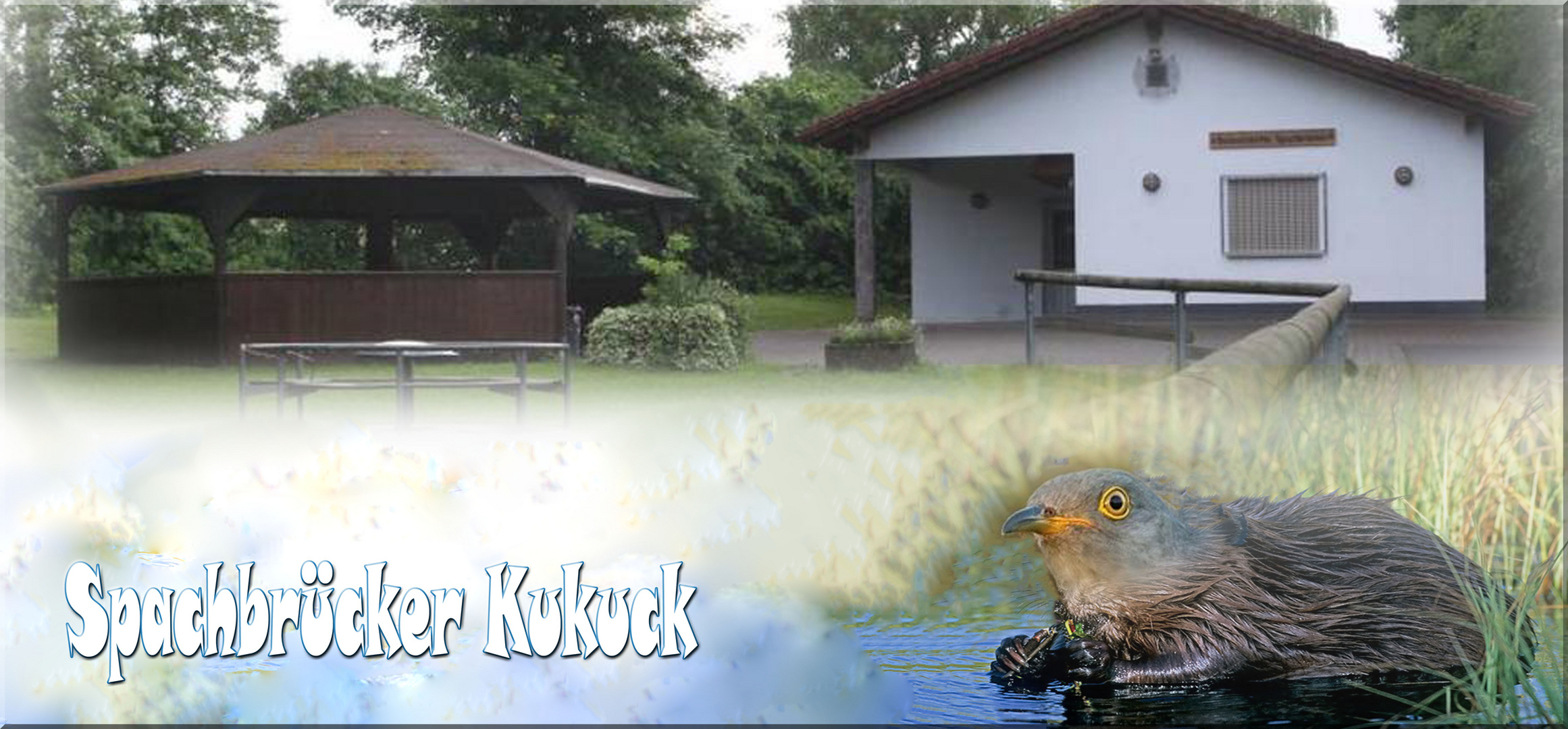 Spachbrücker Kuckuck