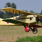 Spad 13