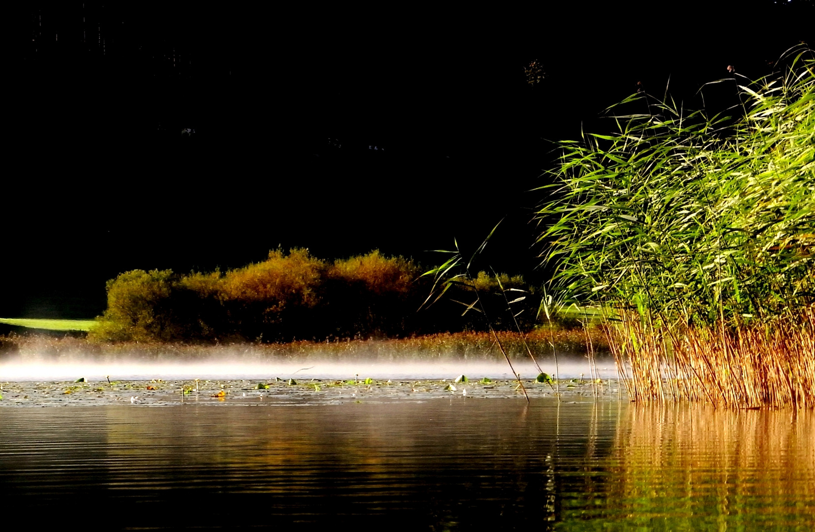 Spähtsommer am See