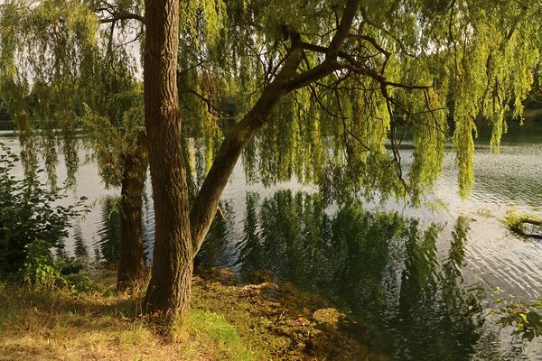 Spärlicher Durchblick