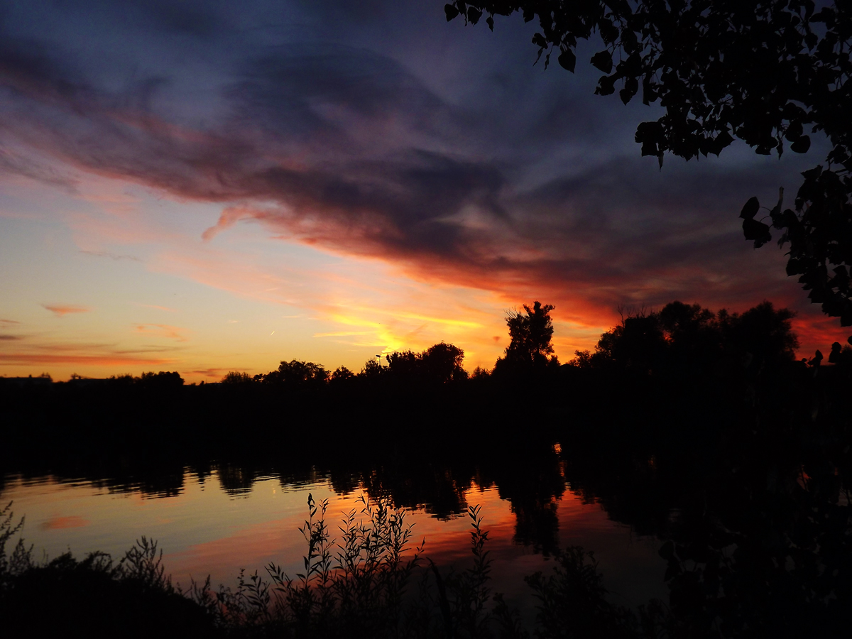 Spät Abends am Main