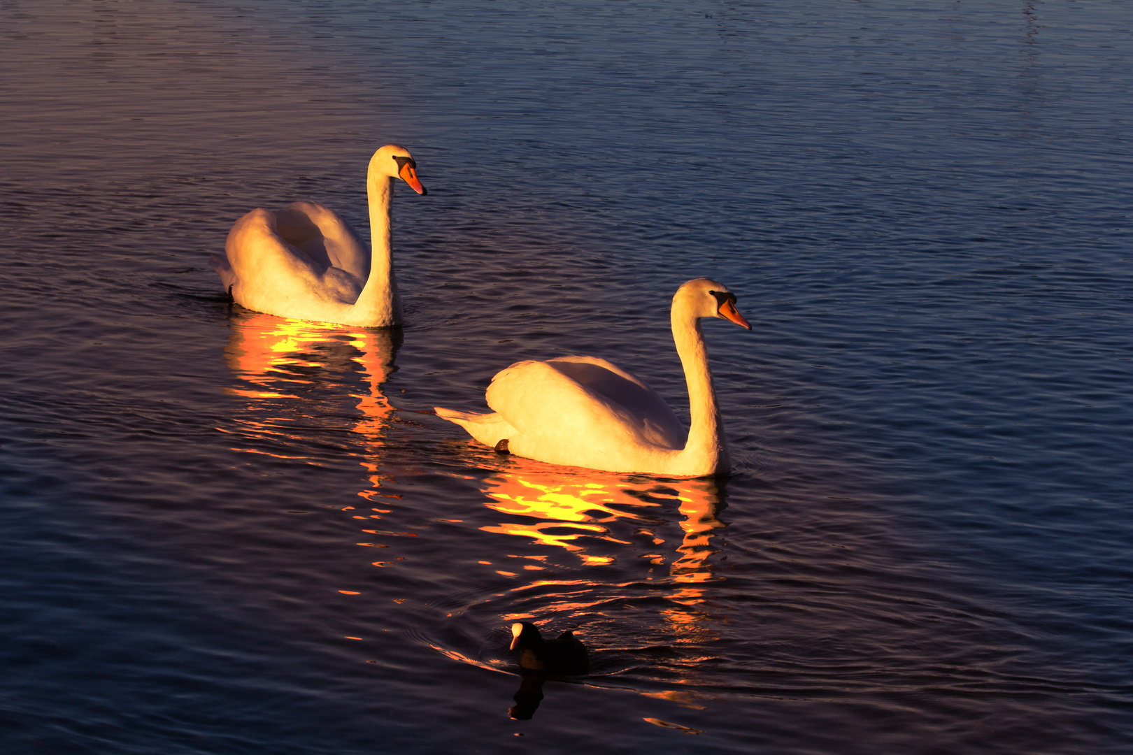 Spät Abends am See