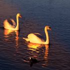 Spät Abends am See