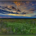 spät abends im Feld