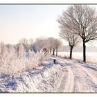 Spät, aber immerhin Schnee in der Heide