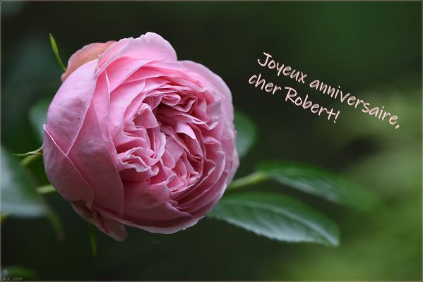 Spät, aber noch nicht zu spät/  Tard, mais pas trop tard !