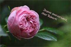 Spät, aber noch nicht zu spät/  Tard, mais pas trop tard !