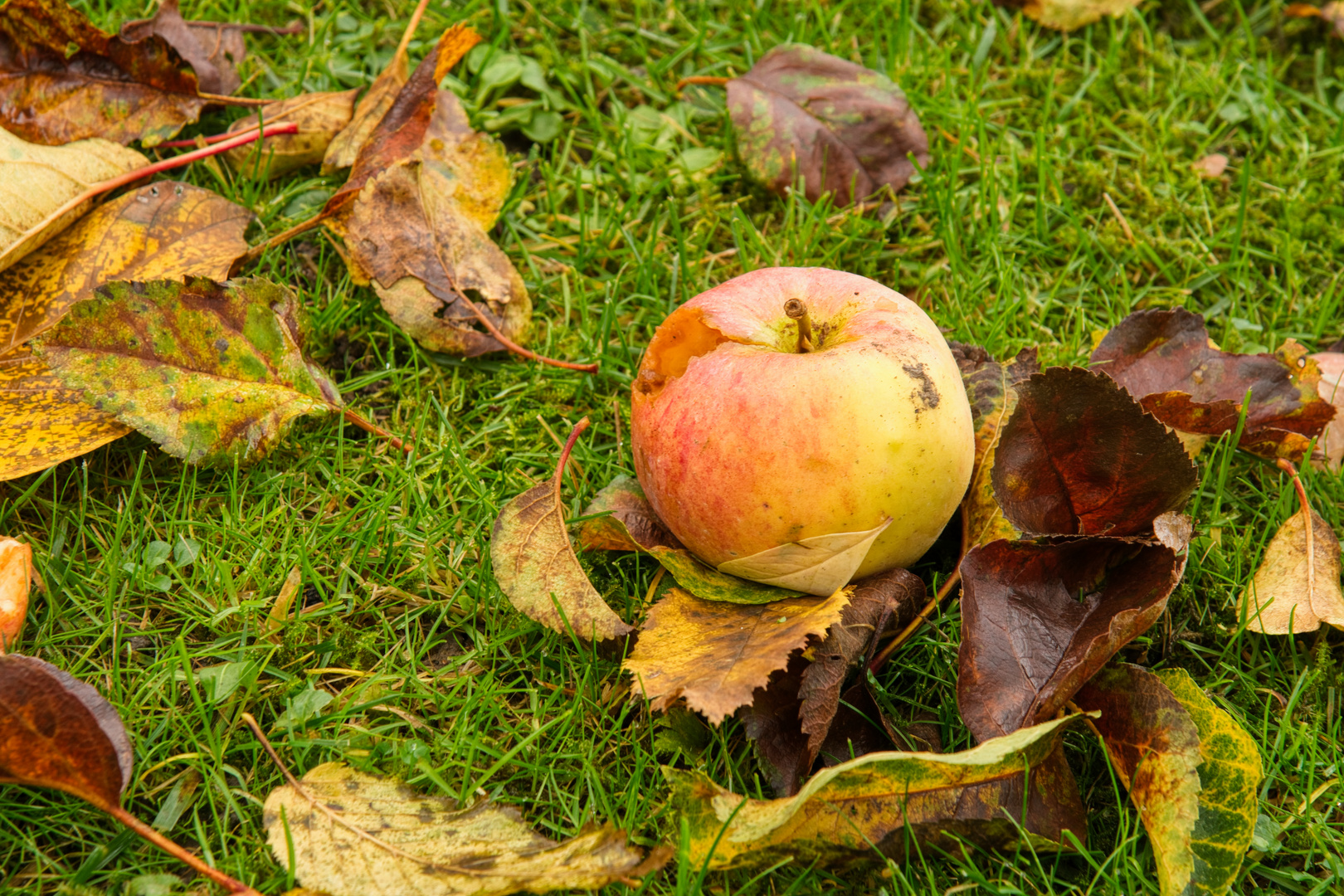 Spät im Herbst