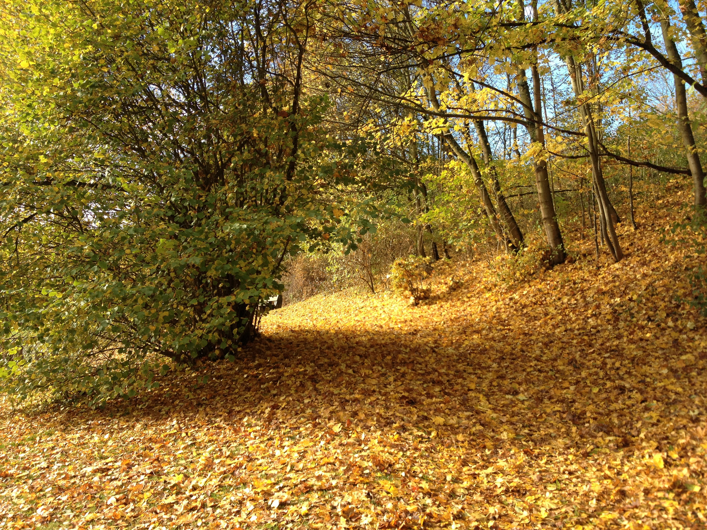 Spät im Herbst