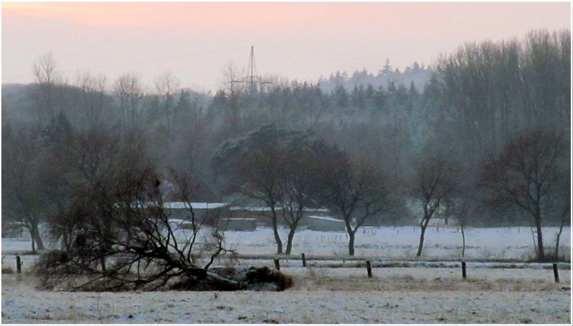 spät im Moor unterwegs ...