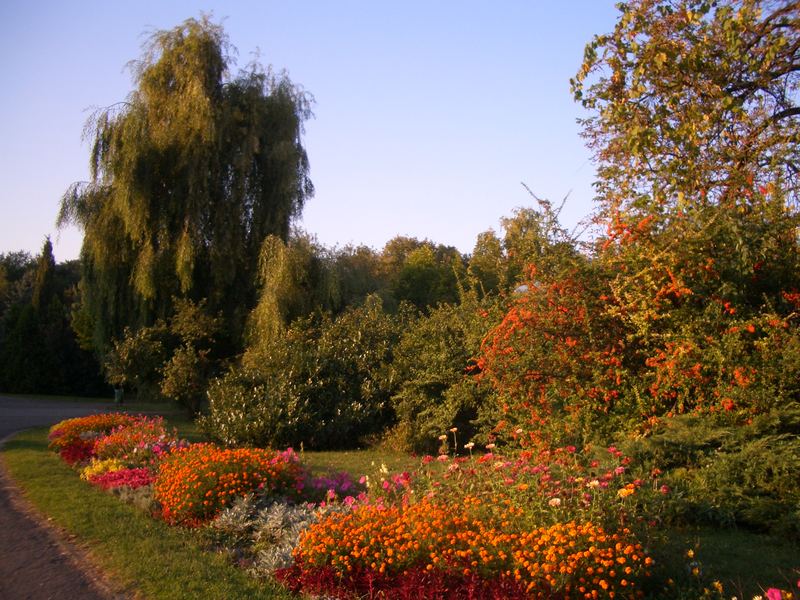 Spaet Nachmittag in Park