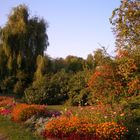 Spaet Nachmittag in Park