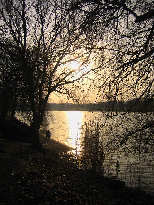 spät nachmittags am See