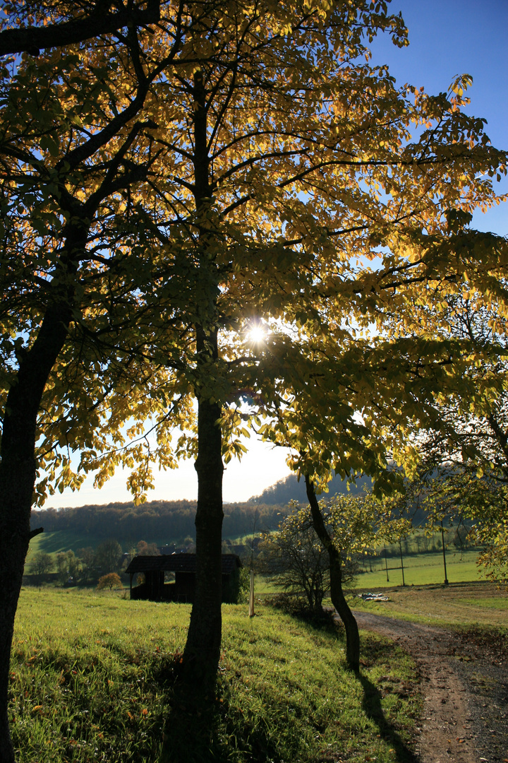 späte Herbstsonne