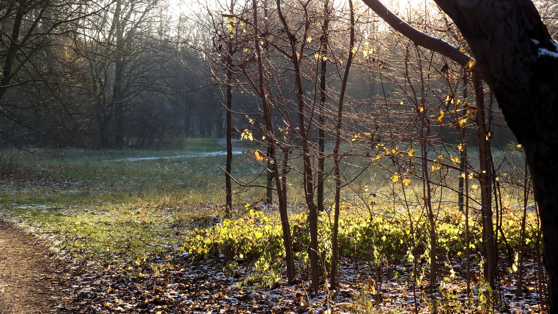 späte herbstsonne 2