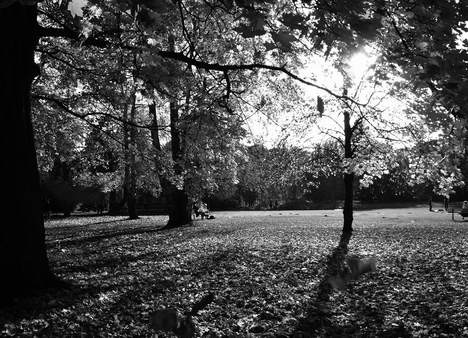 Späte Herbstsonne