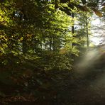 späte Herbststunden in NRW