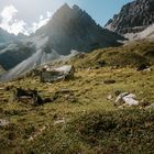 Späte Morgenstimmung in den Bergen