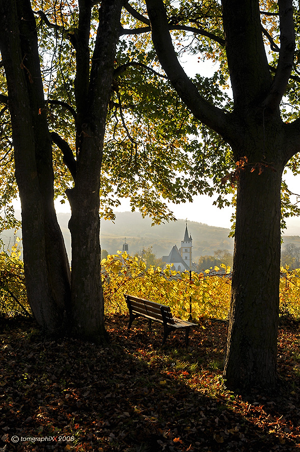 Späte Sonne