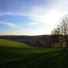 Späte Sonne im Dezember