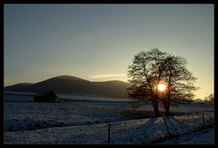 Späte Wintersonne