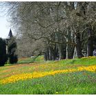 Später Frühling auf der Mainau , Mainau im April 2013