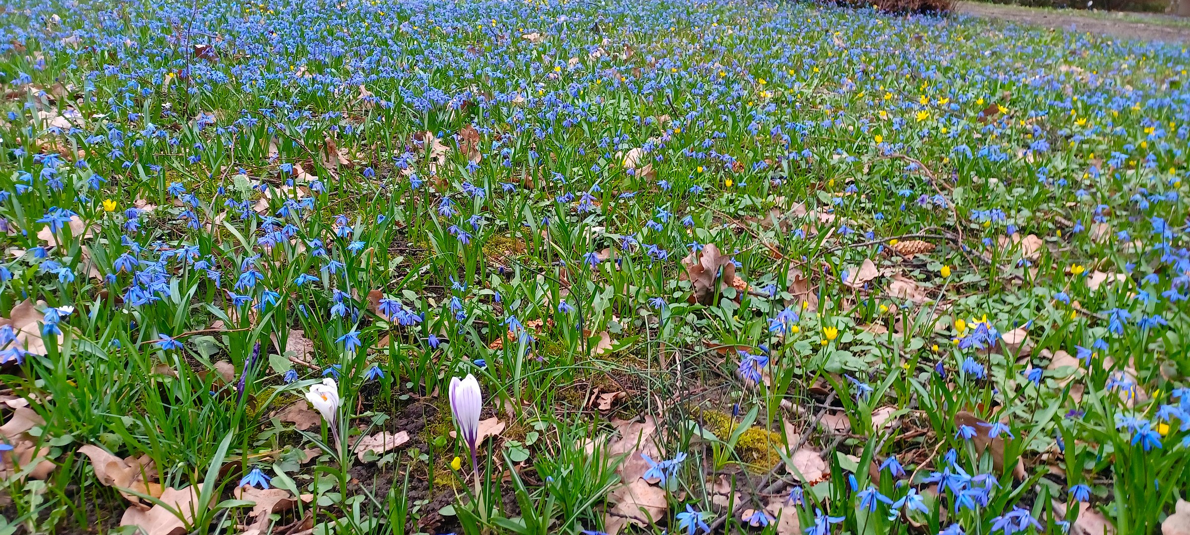 Später Frühling in Berlin