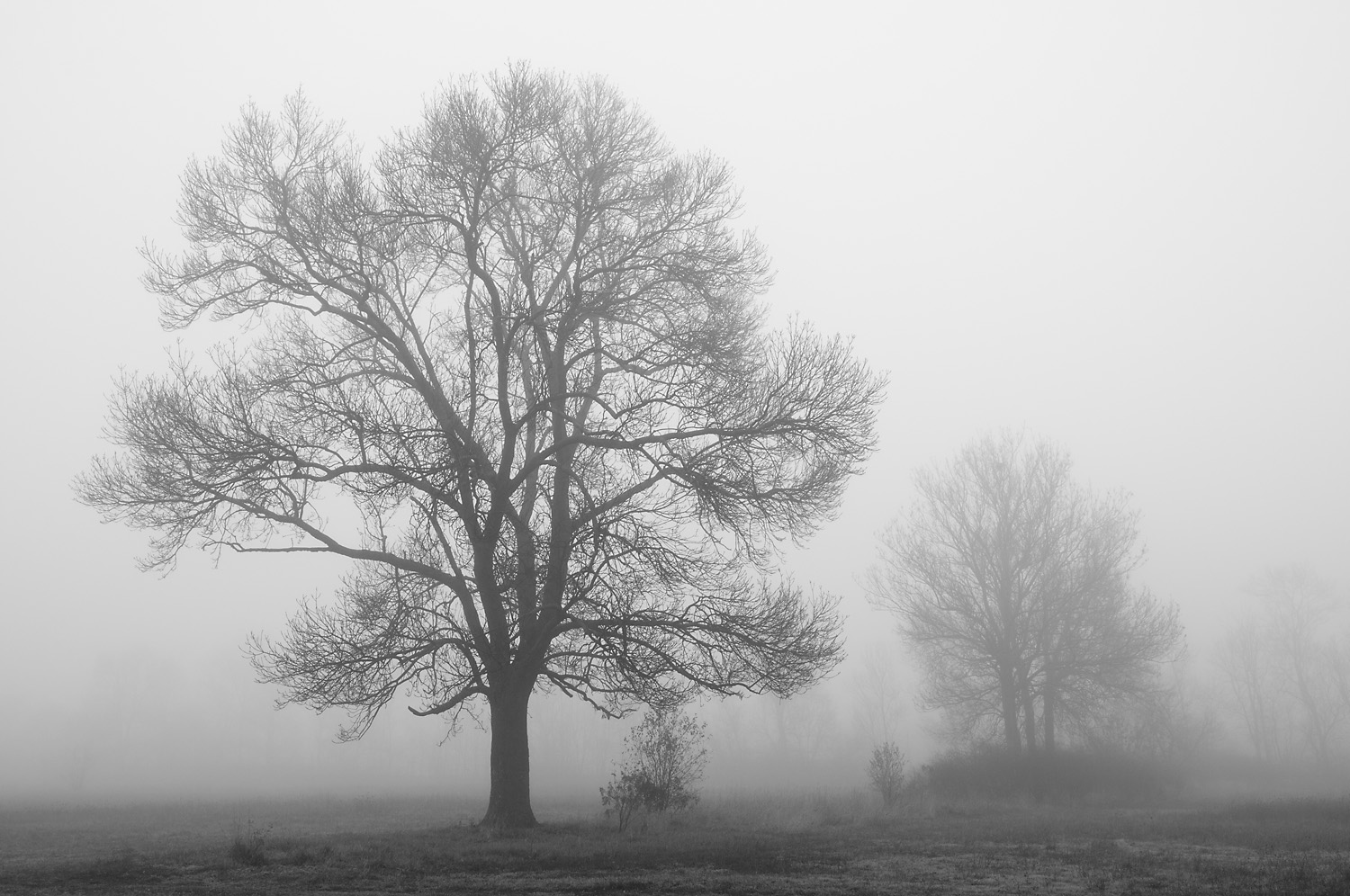 später Herbst