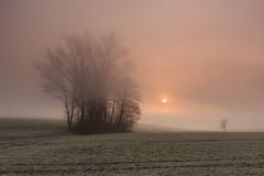 Später Herbst