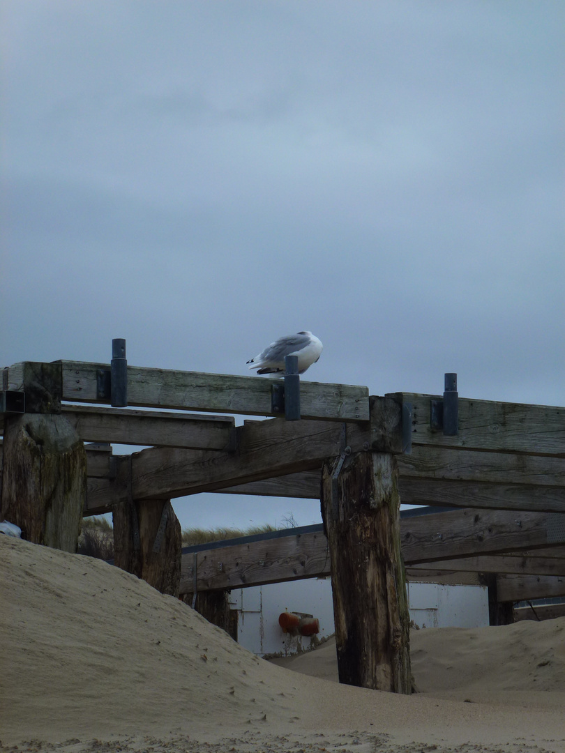 Später Nachmittag auf Norderney