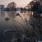 später Winternachmittag am See.