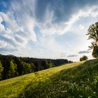 späternachmittags im Frühling