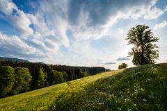 späternachmittags im Frühling