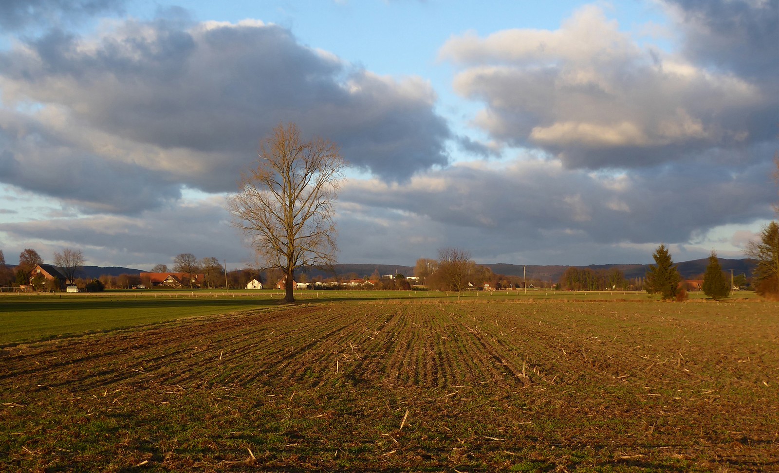 Spätes Licht auf den winterlichen Feldern