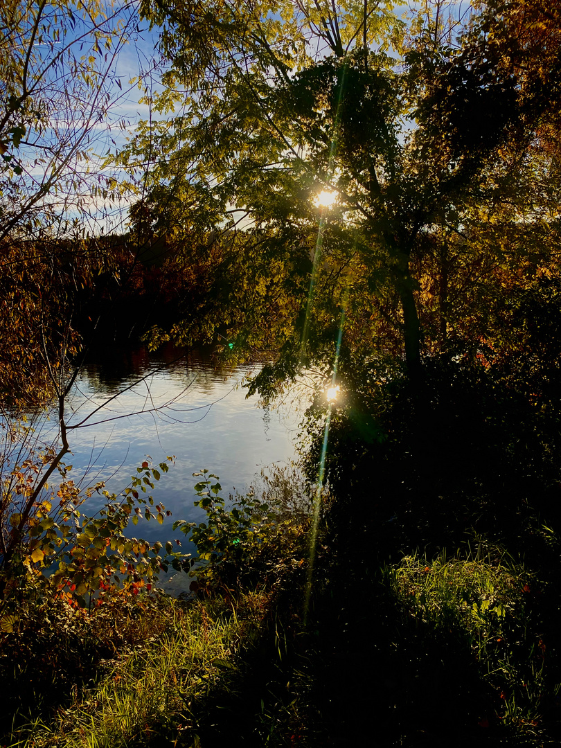 Spätes Sonnenlicht am Neckarufer 