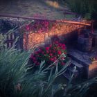 Spätes warmes Licht auf dem schönen alten Garten 