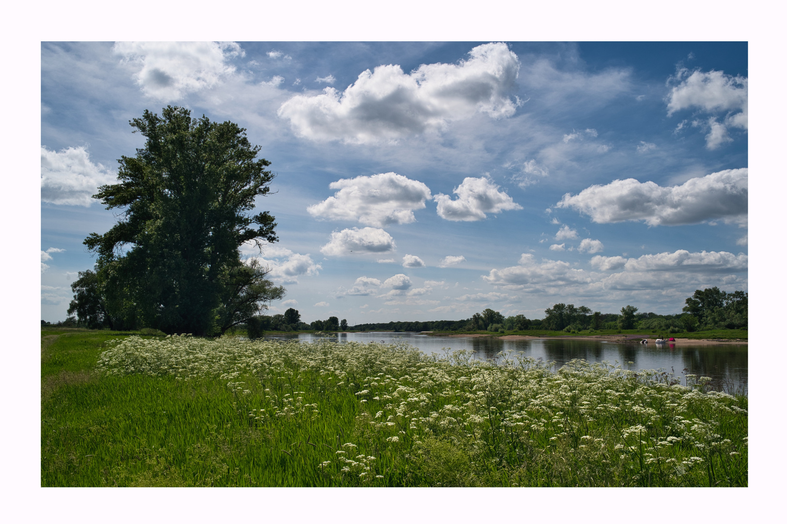 Spätfrühling an der Elbe