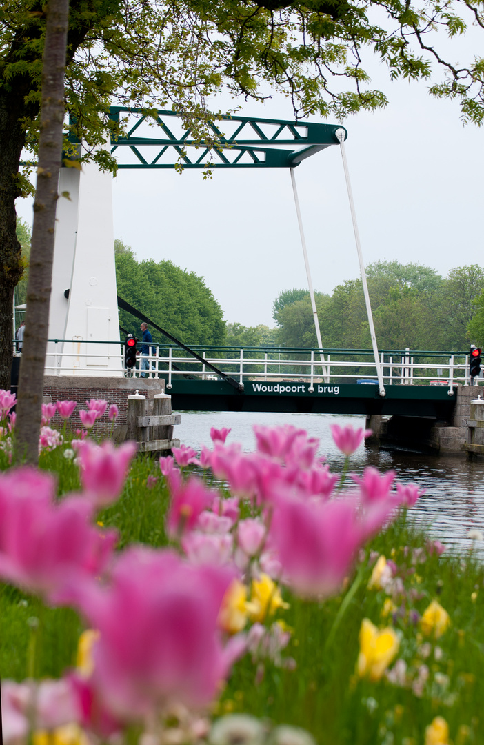 Spätfrühling in Dokkum