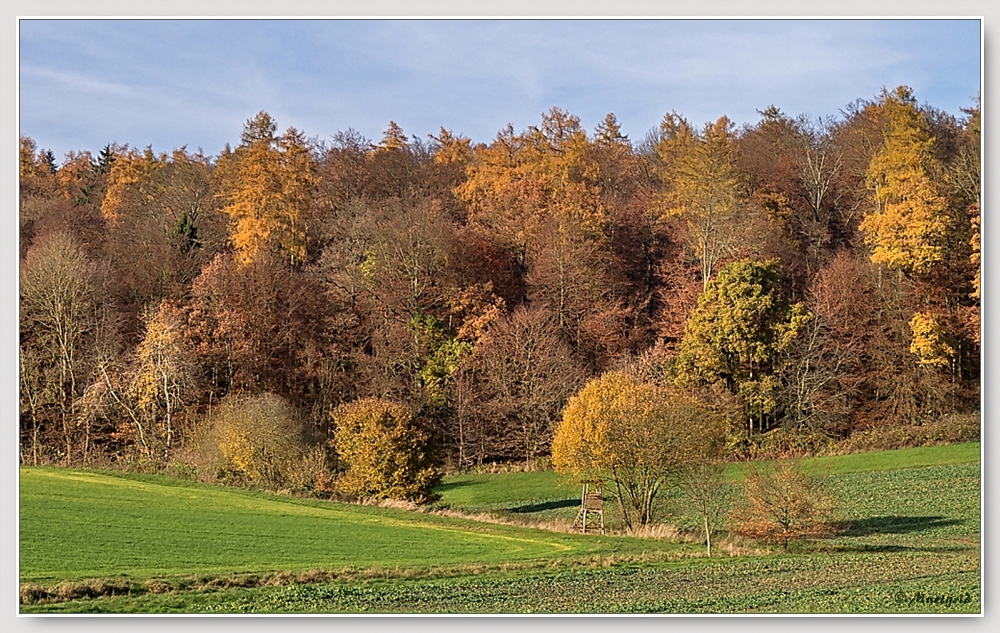 ~ Spätherbst ~