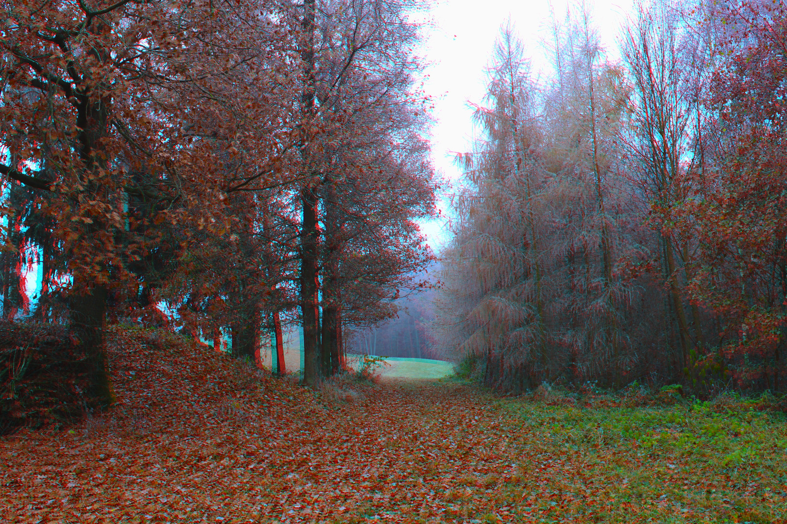 Spätherbst 3D/Anaglyph