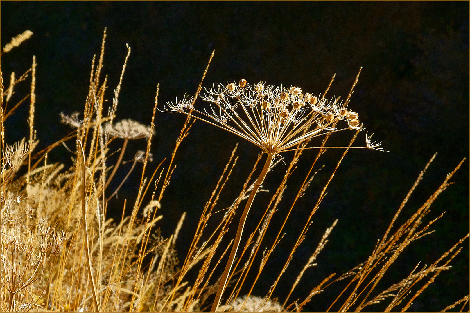 Spätherbst am Berg