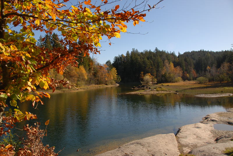 Spätherbst am Chapfensee