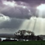 Spätherbst am Flensborg Fjord (1)