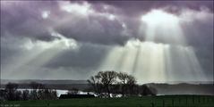 Spätherbst am Flensborg Fjord (1)