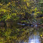 Spätherbst am Fluss